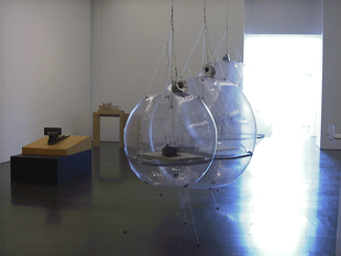 inflatable windows displays exhibitions