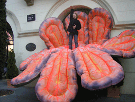 Pink inflatable flower 6 m