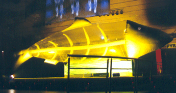 12 m inflatable fish illuminated
