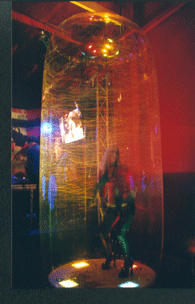 Inflatable bubble showcase